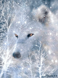 france manon michaud google wolf painting beautiful wolves beautiful gif