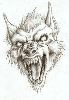 werewolf head drawing not my art wolf head drawing dragon head drawing