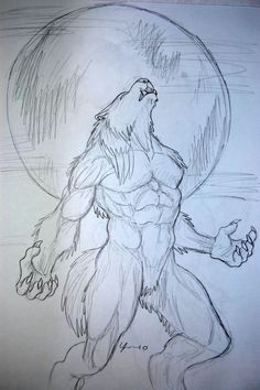 werewolf drawing 7