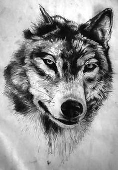 tattoo wolf draw lowin tattoo idee tattoo keltische tatowierungen wolf zeichnung wolf