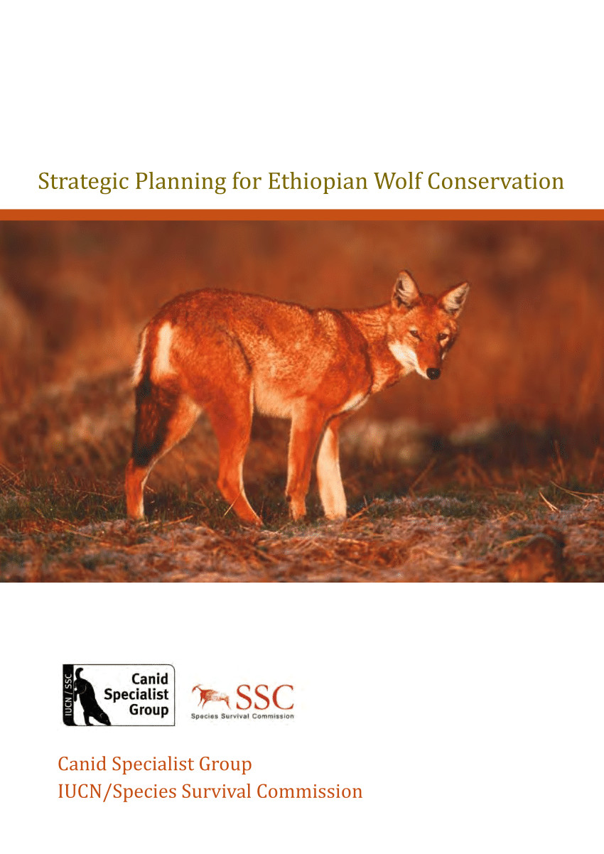 pdf ethiopian wolf conservation strategy workshop