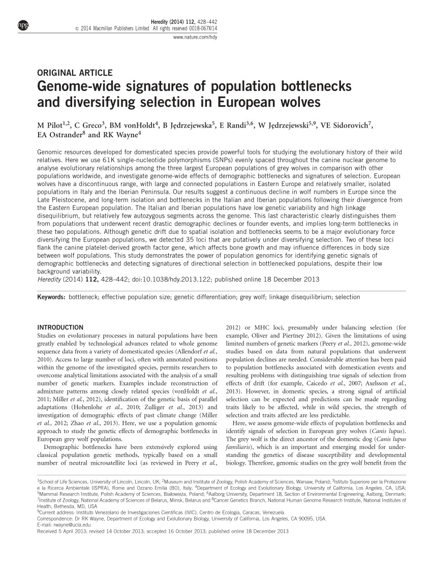 pdf genome wide signatures of population bottlenecks and diversifying selection in european wolves