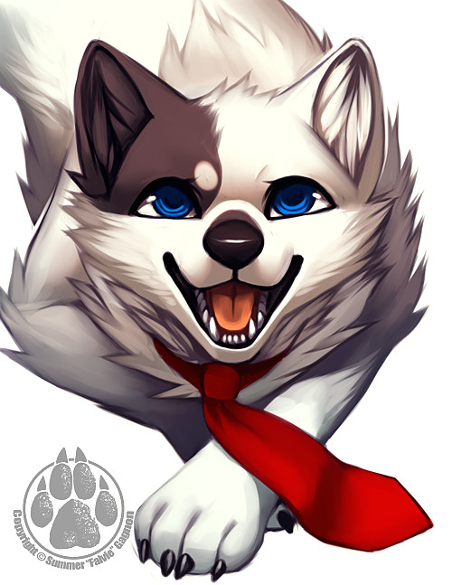 cutie pie club anime wolf anime furry creature drawings wolf drawings cartoon