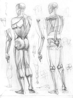 body anatomy anatomy study anatomy art anatomy poses human anatomy anatomy