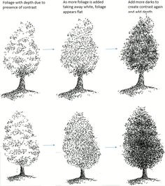 how to draw tree foliage in pen and ink my pen and ink drawings ink