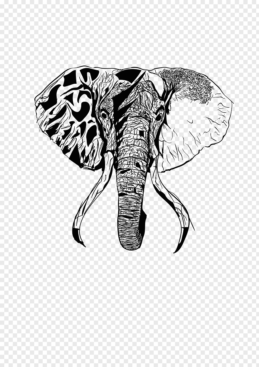 butterfly stencil elephant drawing indian elephant african elephant visual arts m 0d artist png clip art png