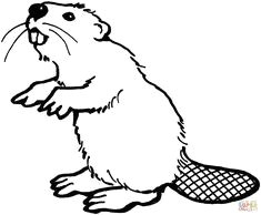 aa155018288ced31d572e478a37d8050 beaver scouts colouring pages jpg