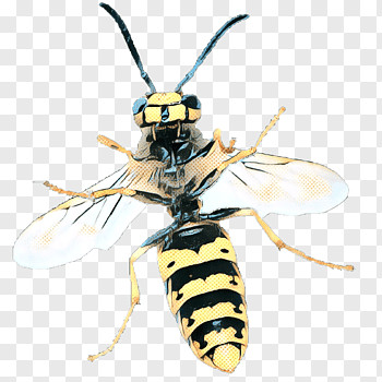 cartoon bee hornet insect cockroach drawing wasp yellowjacket eumenidae png clip art thumbnail png