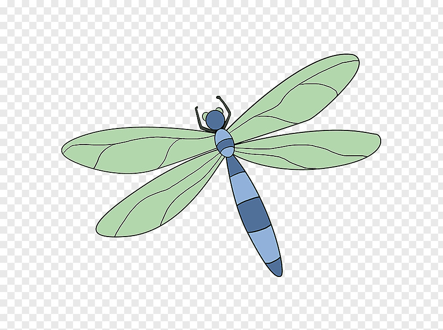 tangled dragonfly drawing tutorial cartoon watercolor painting howto insect png clip art png