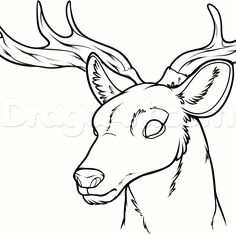 27a171150db9ef6b10eb9c24aae876f0 deer drawing drawing board jpg