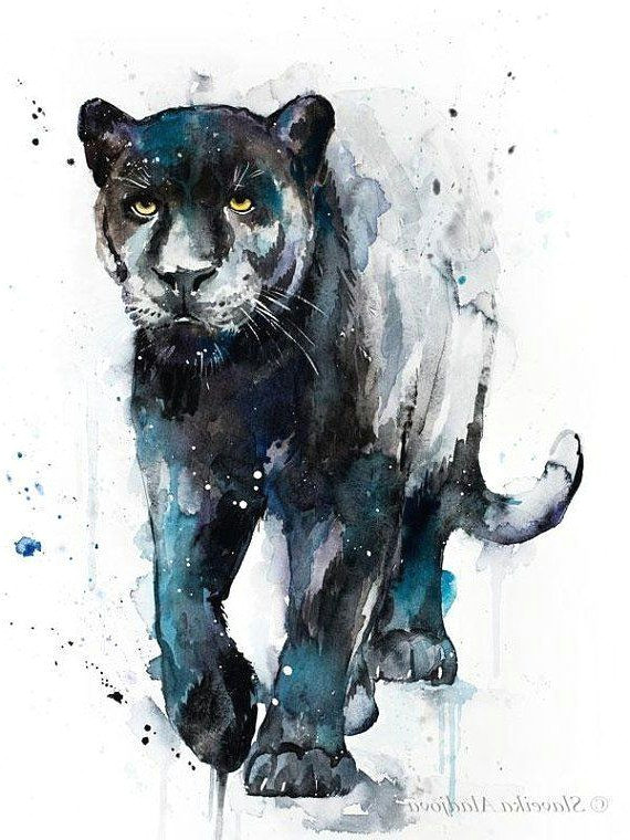 Drawing Black Panther Animal Black Panther Aquarell Kunstdruck Von Slaveika Aladjova