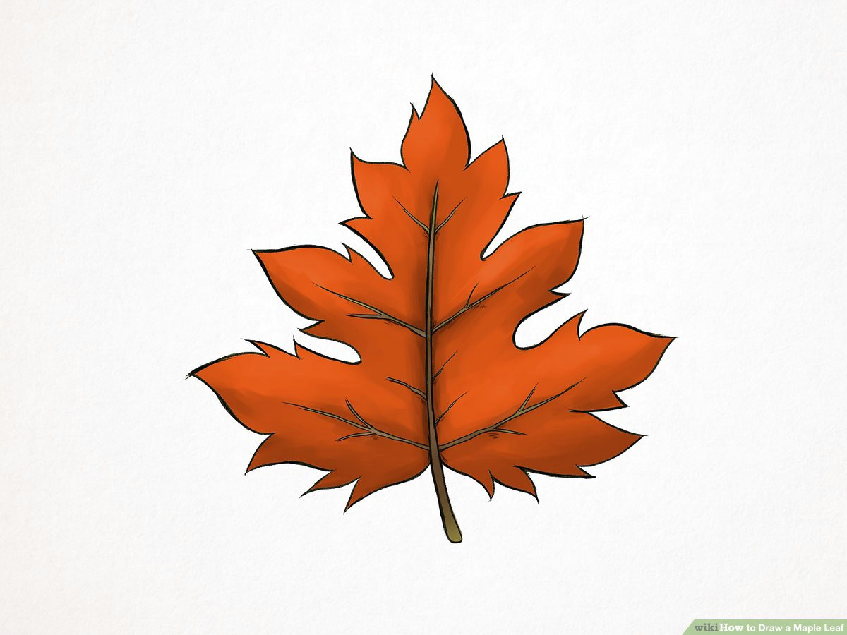 aid1565786 v4 1200px draw a maple leaf step 10 version 2 jpg