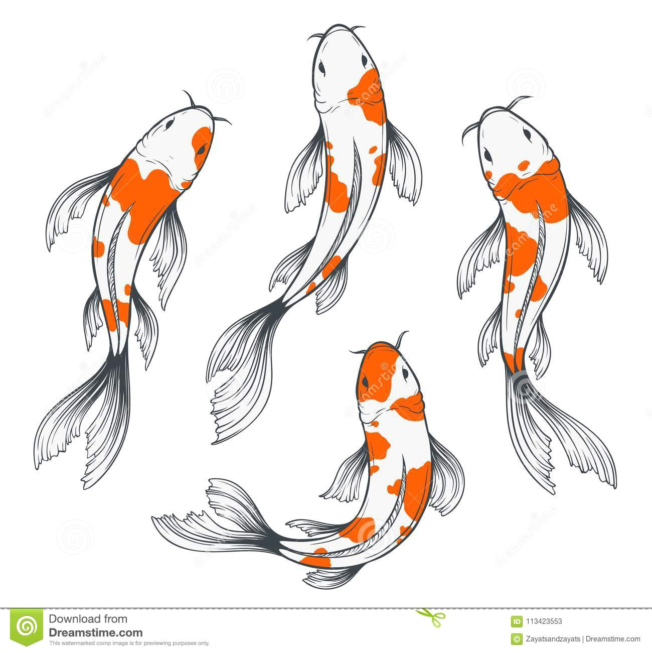 koi fish set four traditional japanese fishes top view simple sketch style drawing red white 113423553 jpg