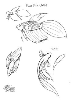 be073486356a9d5761a03081d78e8487 doodles fish fish doodle jpg