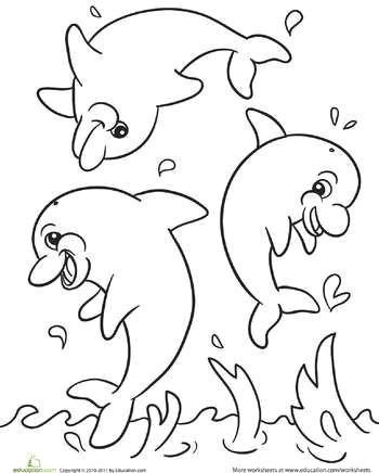 lovely coloring pages dolphin easy