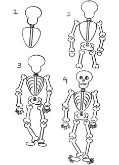 28119dc06643d6fd06069460ce7924c4 a skeleton dover publications jpg