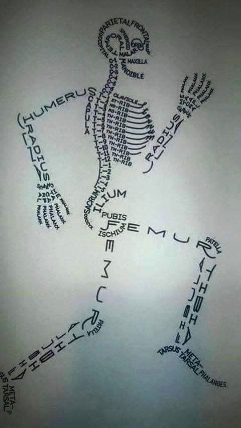 Easy How to Draw A Skeleton Pin by Clara Carbajal On Good to Know Nursing Students