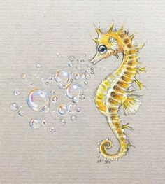 Easy Seahorse Drawing 19 Best Seahorse Drawings Images Seahorse Drawing