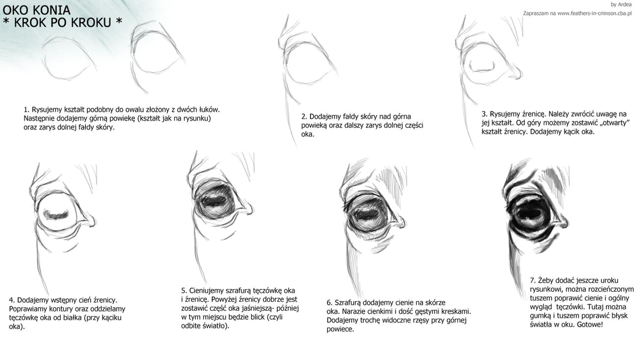 horse eye tutorial by ardea4 d5lku5r jpg