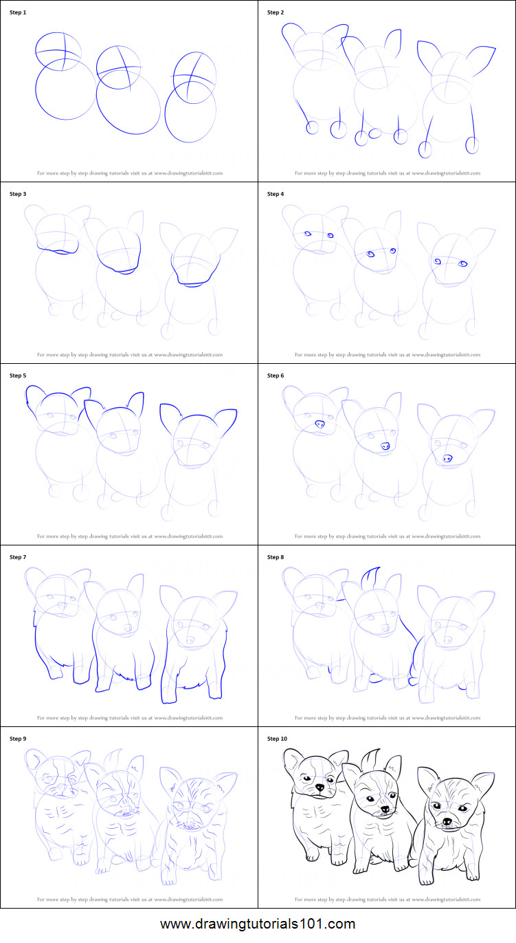 how to draw puppies step by step png