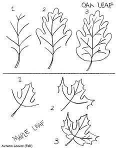 9209d8ea9a0992a22c05608844f145d1 how to draw flowers how to draw leaves jpg