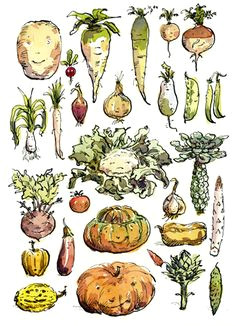 0e5de158e2495e99022f19d1bc726943 vegetable drawings veggie world jpg