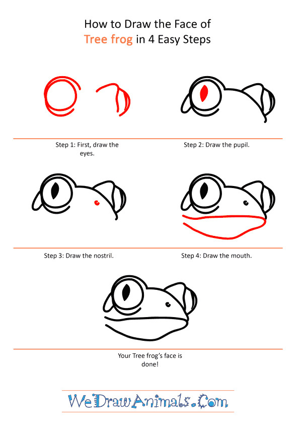 tree frog face tutorial png