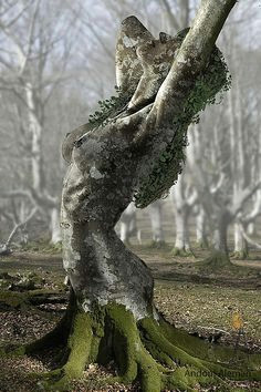 be024a9b6d09fd56f2589cb614648b72 tree carving tree sculpture jpg