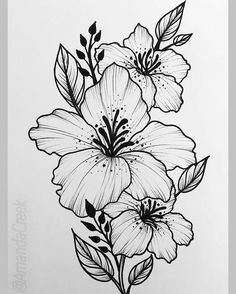 Hibiscus Drawing Easy Ink or Line Drawing Beautiful Flower Drawings Drawings