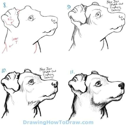 How to Draw A Dog Realistic but Easy 58 Ideas Dogs Face Drawing Animals Dogs Drawing In 2019