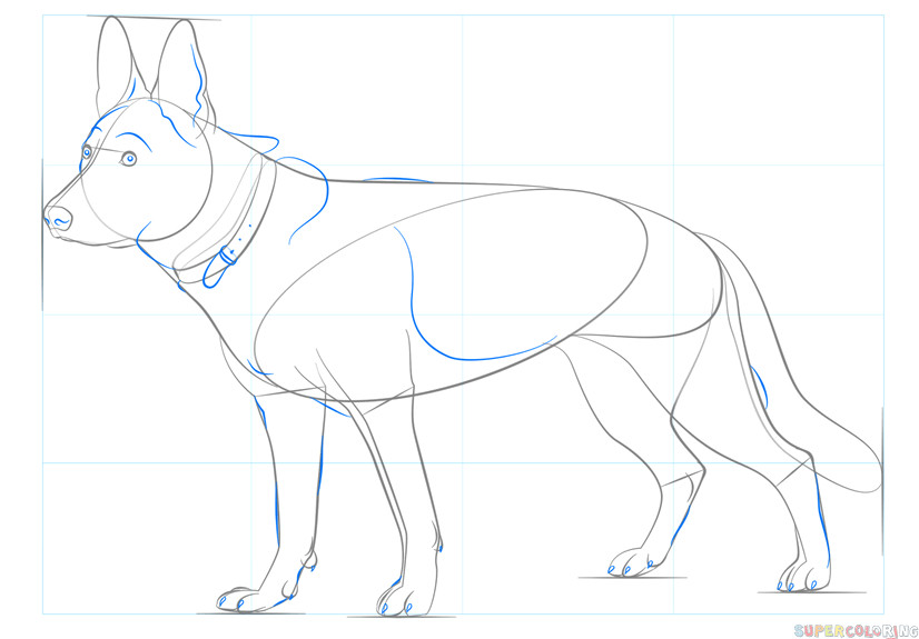 How to Draw A German Shepherd Easy How to Draw A German Shepherd Dog Step by Step Drawing