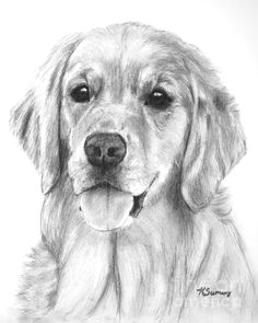 e6264e345fda42f337aff052e050e146 dog drawings doodle drawings jpg