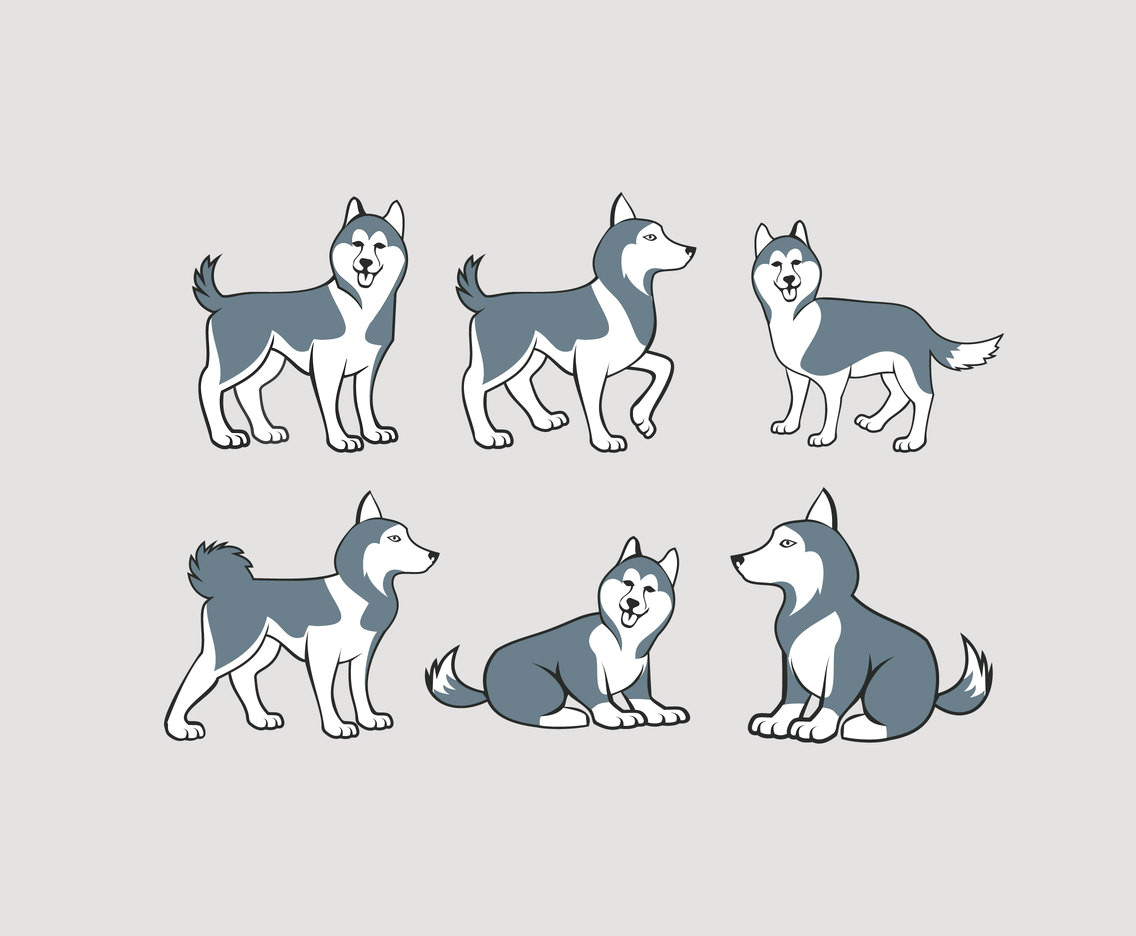 husky illustration jpg