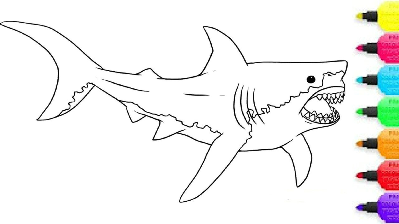 e567846a315d2e99ebfc5ae096c173c6 how to draw megalodon shark coloring pages for kids drawing 1280 720 jpeg