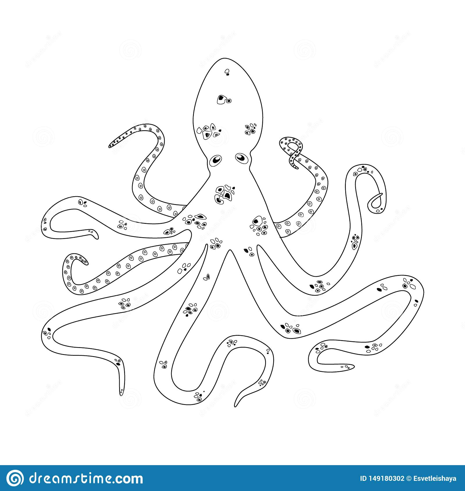 octopus outline vector icon realistic silhouette coloring book 149180302 jpg