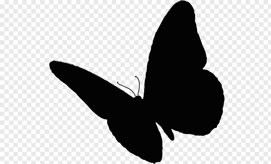 cartoon nature butterfly insect scarlet mormon animal drawing m 0d lepidoptera png clip art png