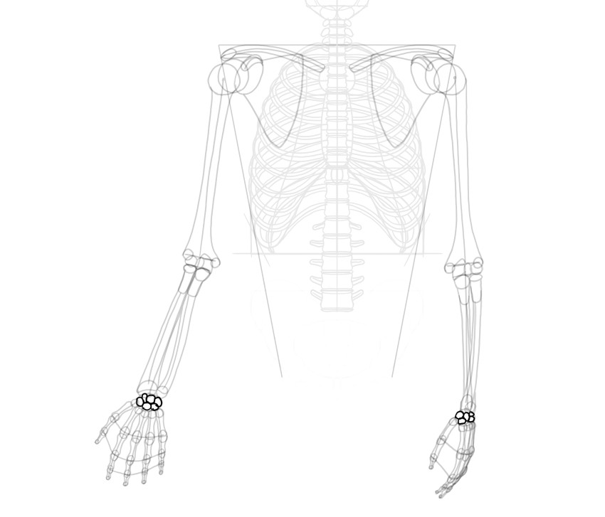 how to draw skeleton 3 29 png