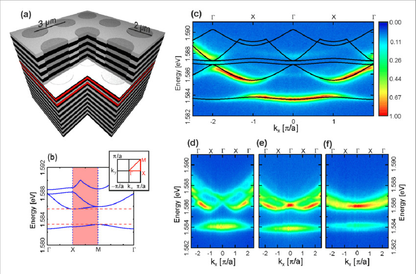 polaritons in a square lattice a schematic drawing of the investigated square lattice png