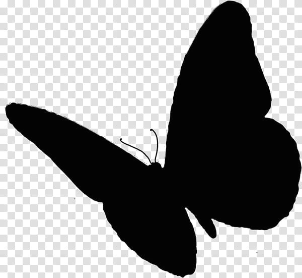 cartoon nature butterfly insect scarlet mormon animal drawing m 0d lepidoptera png clipart jpg