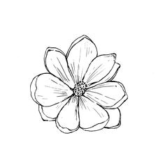 b1251fd7f8d2e7fd60f599c8413b29ab flower outline drawing flower drawings jpg