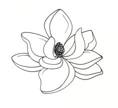 180cb9d957a954c2a5a80750c9db0f5f drawing flowers flower drawings jpg