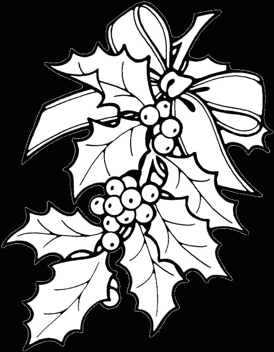 easy mistletoe drawing 27 png