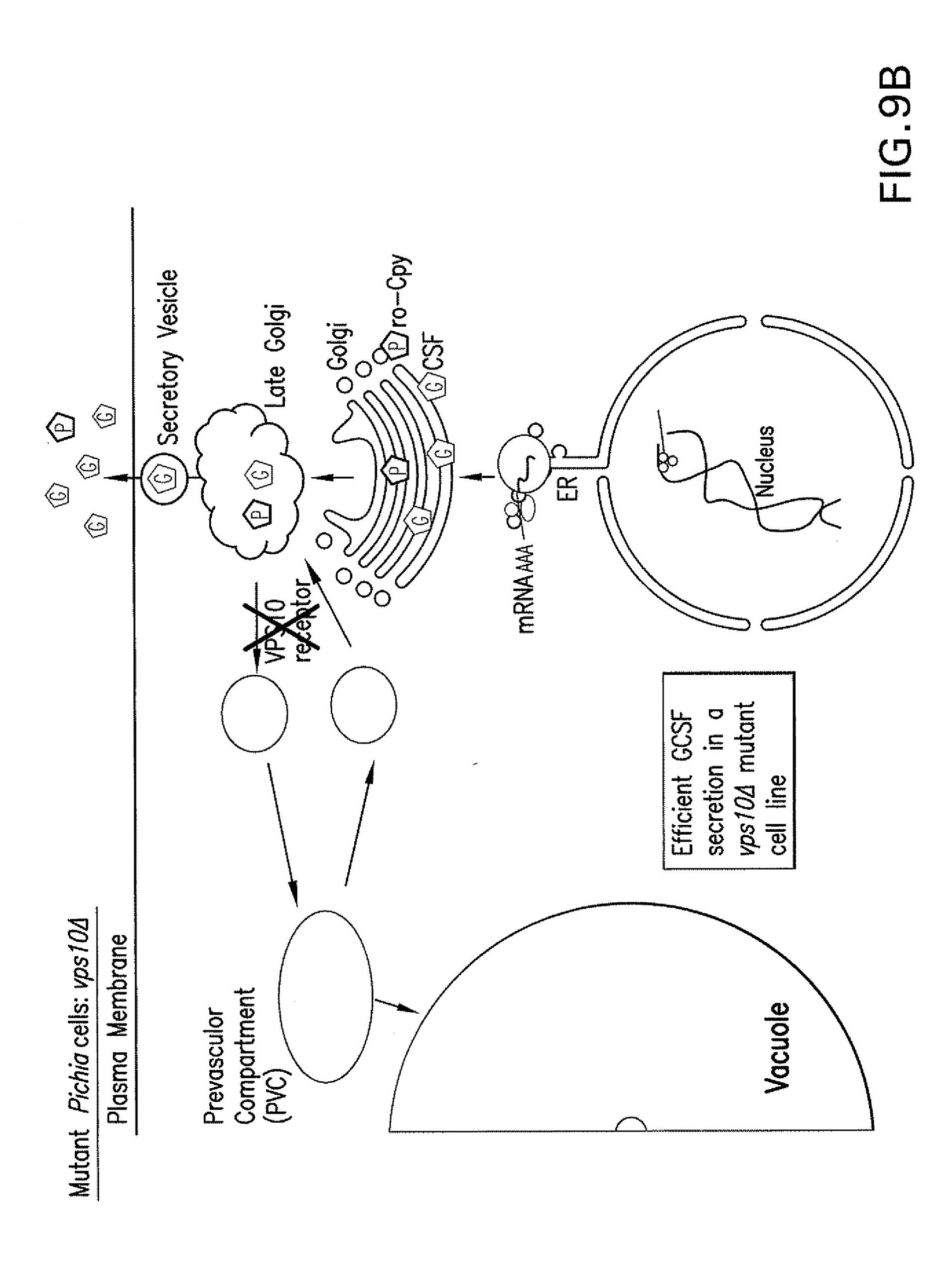 us20130011875a1 20130110 d00018 png