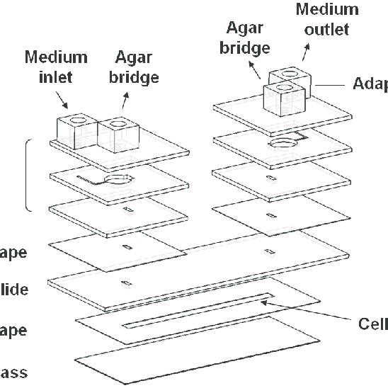 a drawing of the electrotactic chip assembly the electrotactic chip had connecting holes q640 jpg