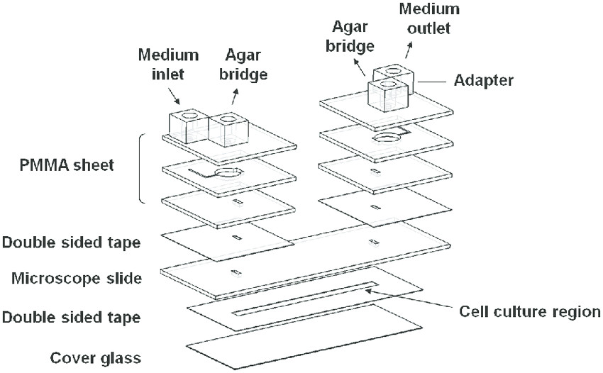 a drawing of the electrotactic chip assembly the electrotactic chip had connecting holes png