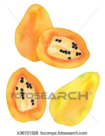 papaya or papaw set hand drawn fruits stock photo k36721328 jpg