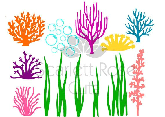 Seaweed Drawing Easy Under the Sea Seaweed Coral Bubbles Svg Ocean Life for