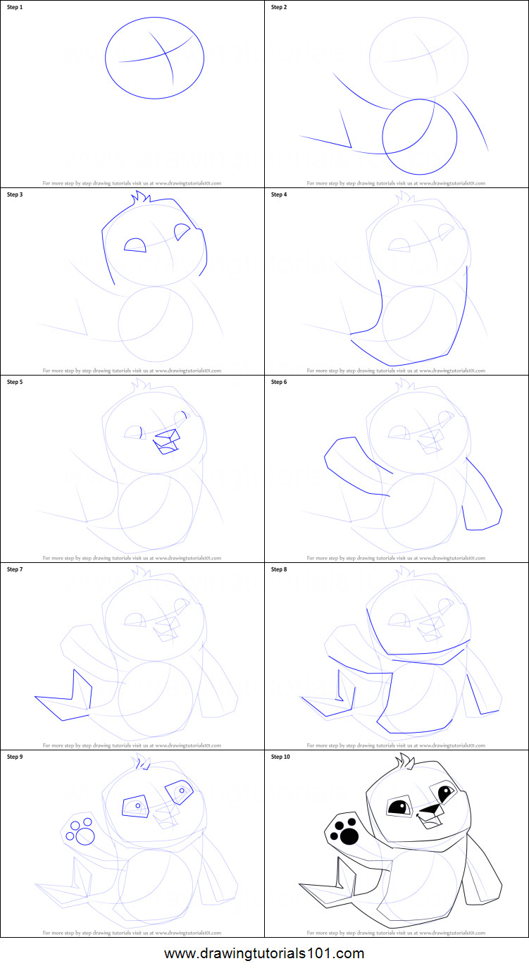 how to draw seal from animal jam step by step png