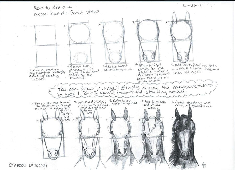 Unicorn Head Drawing Easy How to Draw A Horse Head Front View by A N 0 N Y M O U S