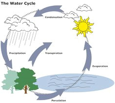 f3d07412736180954eff1b43dc22cbbd water cycle biology jpg